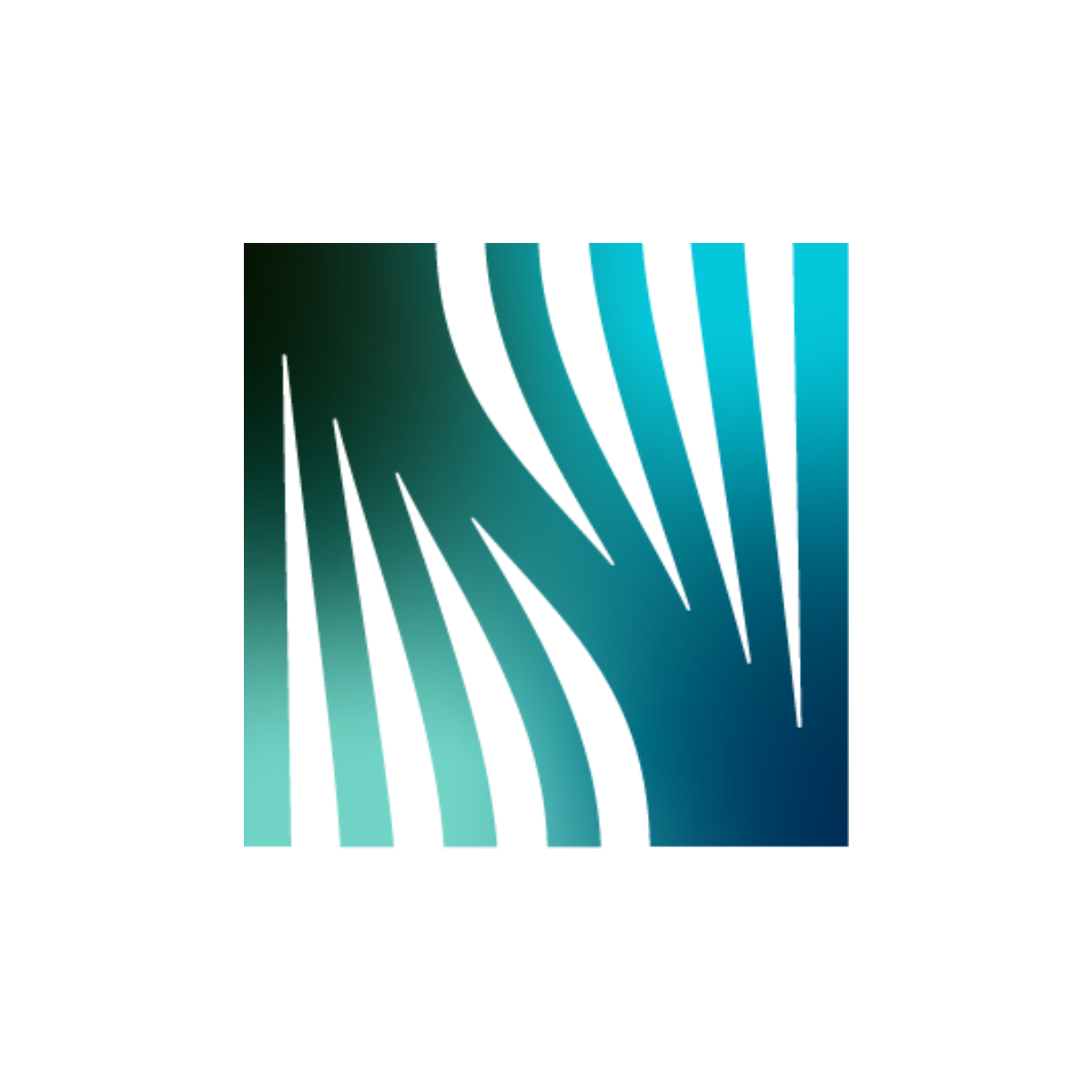 The Natural Capital Alliance logo